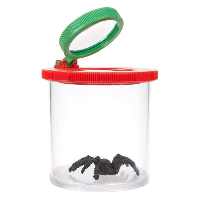 China Plastic Transparent Magnifier Insect Catcher Eco-friendly Insect Viewer Container Kit For Children for sale