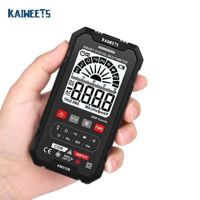 China Wholesale kaiweets Multimeter 6000 Counts Multimeter Tester Handheld Auto-storing Meter 312B for sale