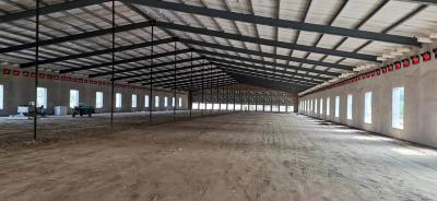 China Prefabricated Steel Structure Poultry House Q235B Q355B Steel Frame Chicken House for sale