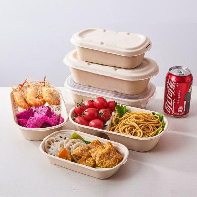 China High Quality Disposable Biodegradable Sugar Cane Bagasse Tableware Greaseproof Factory Eco-Friendly Food Container for sale