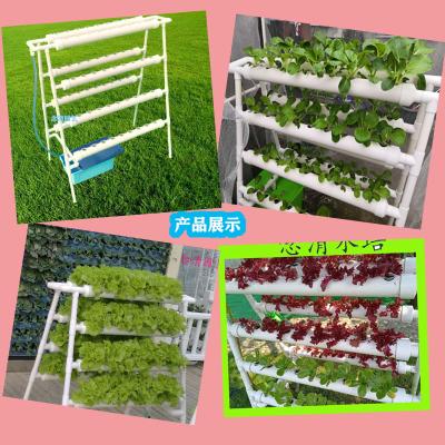 China Stable Structure Company Vertical Price New Indoor Grow System Hydroponics 72 Holes NFT Hydroponic Growing Systems For Hardwood for sale