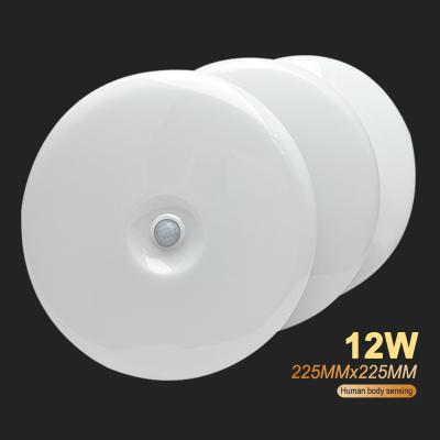 China China Manufacture Circle 220v 12w 225mm Outdoor Mounted White Corridor Corridor Lamp Ceiling Light for sale