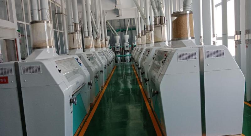 Verified China supplier - Henan Taixing Grain And Oil Equipment Co., Ltd.