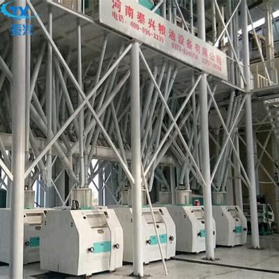 China TAIXING Couscous production line for sale