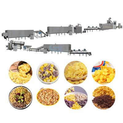 China Mini sugar corn flakes extruder machine rice flake td process production line plant for sale