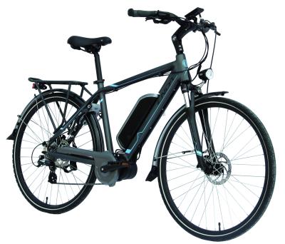 Chine La montagne 20MPH électrique va à vélo avec la batterie 36V/12.5Ah démontable à vendre