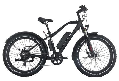 China 48V 750W Mountain E Bike with Tektro Hydraulic Brake system for sale