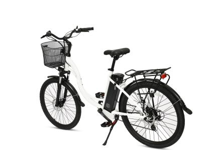 Chine Vélo électrique 20