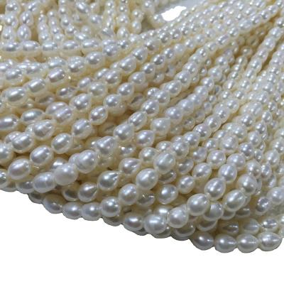 China Wholesale Natural Freshwater Pearl Real Freshwater Pearls, 5-6mm 4A Rice Shaped Loose Egg Shape Pearl Beads for sale