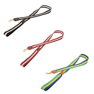 China Custom Stylish Polyester Webbing For Dog Collar And Luxury Nylon Dog Leash Lead Pet Accessories for sale