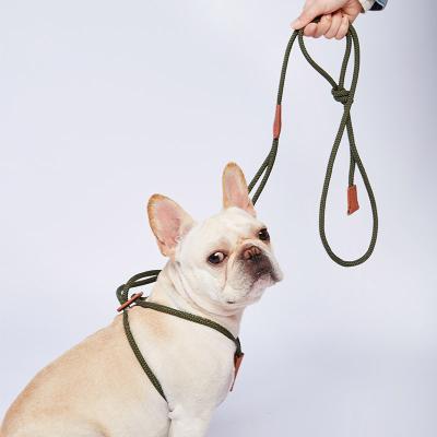 China Custom Stylish Pet Frighten Leather Nylon Hands Free Dog Leash For Small Medium Large Breeds Pet Lighter Leash Dog Lead for sale