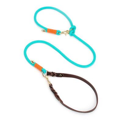 China Customized No Slip Nylon P-type Lead Cow Leather Dog Leash Biothane Traction Chain Dog Leash Pet Accessories for sale