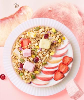 China Delicious Crunchy Low-CARB Chia Seed Fruit Cereal Instant Oatmeal with Cinnamon Strawberry Granola 300g for sale