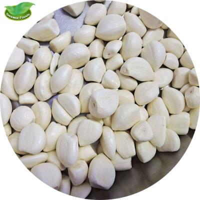 China frozen peeled garlic cloves garlic iqf frozen frozen good cloves price for sale