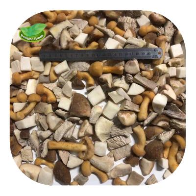 China Wholesale Fresh Best Seller Frozen Mixed Mushrooms FROZEN for sale