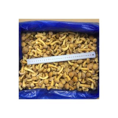 China IQF nameko fresh high quality wholesale jelly size M L LL for sale