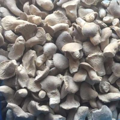 China IQF FROZEN Baby Oyster Mushroom Mixed Mushroom for sale