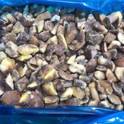 China FROZEN Boletus Luteus (Annulated boletus) from IQF SUILLUS GRANULATUS for sale