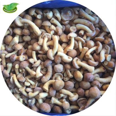 China China Supplier FROZEN Bulk Quick Freezing IQF Mushroom Nameko Bulk Package For Sale for sale