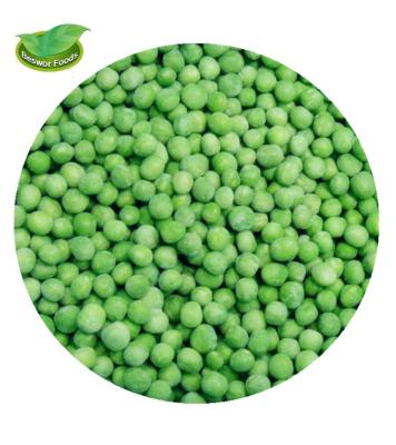 China 2022 China Origin IQF FROZEN Fresh Frozen Pea Vegetables for sale