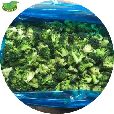 China IQF Fresh Frozen Broccoli FROZEN New Bulk Vegetable Culture for sale