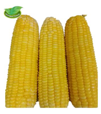 China IQF 2021 FROZEN Frozen Corn Kernels Cob Cut Whole Frozen Vegetables for sale