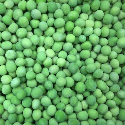 China FROZEN 2021 new culture IQF frozen pea frozen vegetables for sale