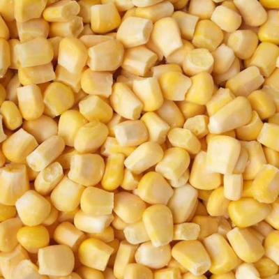 China FROZEN VEGETABLE IQF corn kernels corn cob FROZEN corn for sale