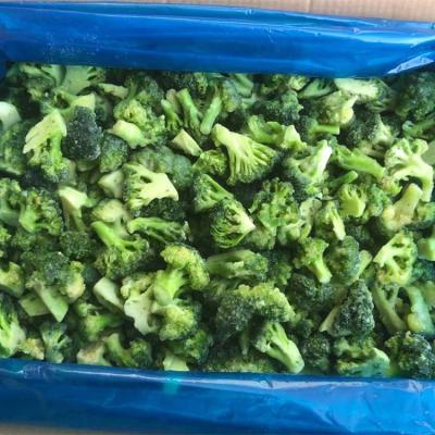 China China Iqf FROZEN Fresh Frozen Broccoli Vegetable Supplier for sale