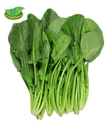 China New FROZEN Culture Wholesale Frozen Vegetables IQF Spinach Balls China Leaf Cuts 3-5cm 1cm for sale