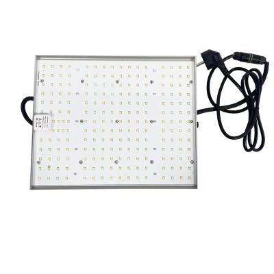 China Seed Starting Best Full Spectrum 150W Indoor LED Flower Grow Light For Flowering Growing Indoor Plants for sale