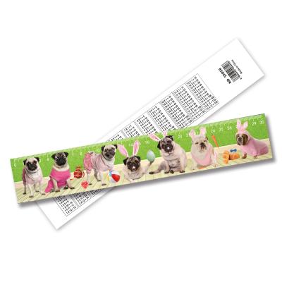 China Custom 3D Ruler Eco-friendly Lenticular Plastic Lenticular Rulers Gift Promotional Stationery for sale