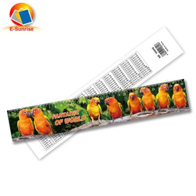 China Customization Eco-friendly 3D Lenticular Ruler OEM Gift Promotional Stationery for sale