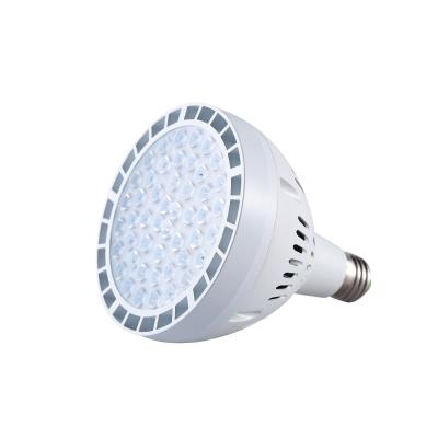 China 120V 35W Pool Color Changing Led Replacement Pool Light Bulb For In Ground Pool for sale