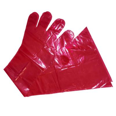 中国 Super sensitive Bovinos Vaca inseminacio Gants Vtrinaires long veterinary disposable gloves 販売のため