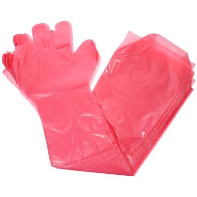 中国 Artificial insemination of cows Rectal Palpation Long Sleeve Vet Disposable Gloves 販売のため