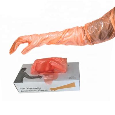 China Disposable Soft Plastic Film Gloves Long Arm Veterinary Examination Artificial Insemination Glove for sale