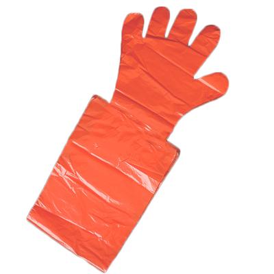 Κίνα Veterinary Consumables Examination Cheap Plastic PE Veterinary Glove προς πώληση