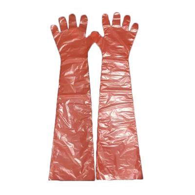 China Green Color Shoulder Protector Artificial Insemination Animal Examination PE Long Gloves en venta