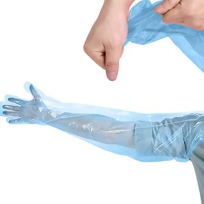 China Shoulder Length Long Sleeve Full Arm Plastic Gloves for Veterinary Gloves Te koop