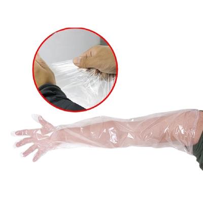 Chine Veterinary equipment Goat Artificial Veterinaria Disposable PE Elbow Length Gloves à vendre