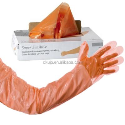 China artificial insemination equipment Veterinary Insemination Rectal Full Arm Long Gloves For Veterinary Cow Gloves en venta