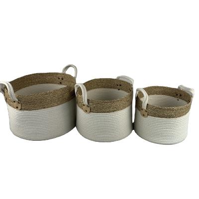 China Sustainable Factory Direct Storage Multi-Compartment Woven Basket With Handle for sale