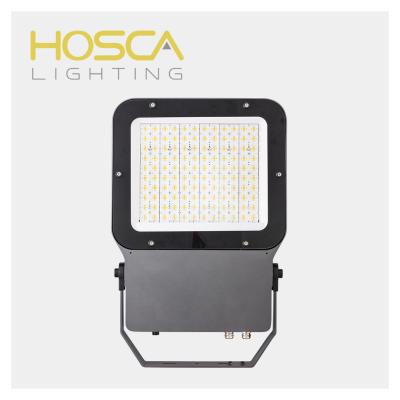 China Best Selling ROAD Goods Using Modern Lighting Tool Security Road Rural Flood Light for sale