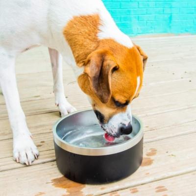 China Automatic premium stainless steel dog bowl for medium and large dogs. No slip. Extra heavy. Double-walled. Holds 8 cups, 64 ounces for sale