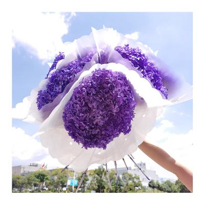 China Most Popular Decorations Instagram Natural Flowers Preserved Hydrangea Flowers For Home Decoration for sale