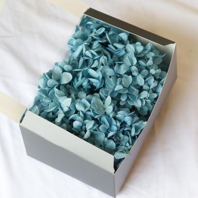 China Hot Selling High Quality Cheap Preserved Natural Touch Yunnan Fern Leaves Preserved Anna Hydrangea In Box For Decoration for sale