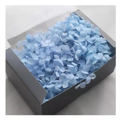 China Hot Selling High Quality Cheap Natural Contact Institute Natural Anna Hydrangea Preserved In Box For Decoration Wedding/Birthday Gifts for sale