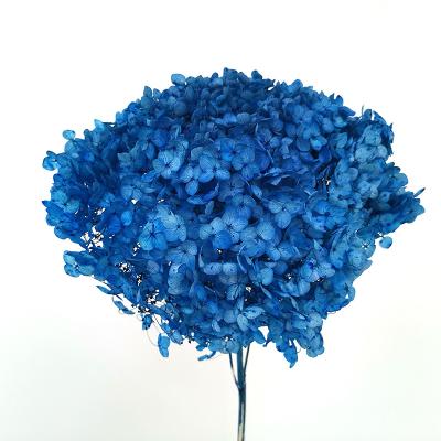 China Natural Touch Hot Selling Yunnan Preserved Hydrangea For Wedding Decoration for sale