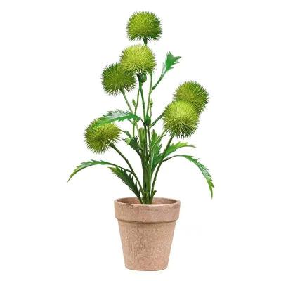 China Beautiful INS Colorful The Word Popular Plant Wholesale Natural Plant Pot For Home And Wedding Decoration for sale